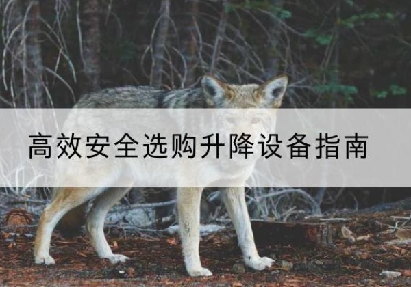 措美升降货梯厂家推荐-*安全选购升降设备指南