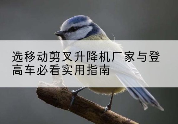 措美电动升降机厂家-选移动剪叉升降机厂家与登高车必看实用指南
