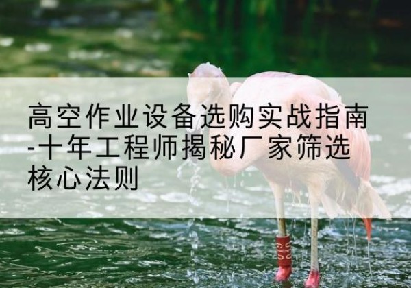 措美剪叉式升降机厂家-高空作业设备选购实战指南-十年工程师揭秘厂家筛选核心法则